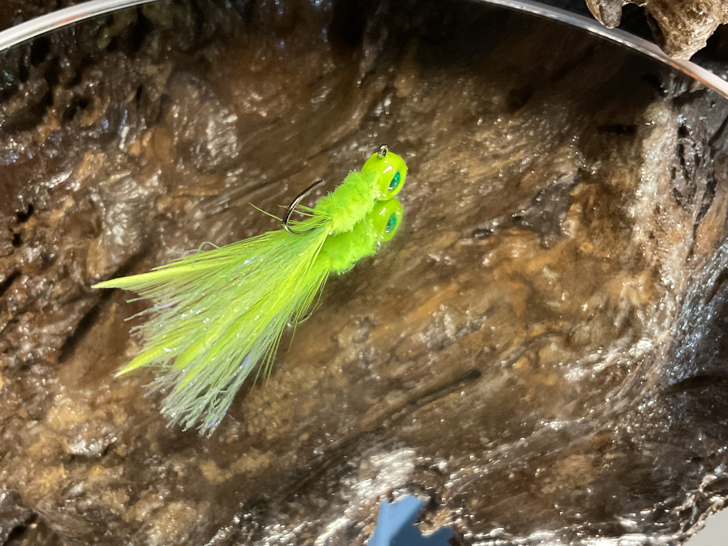 Fancy Radiation Minnow