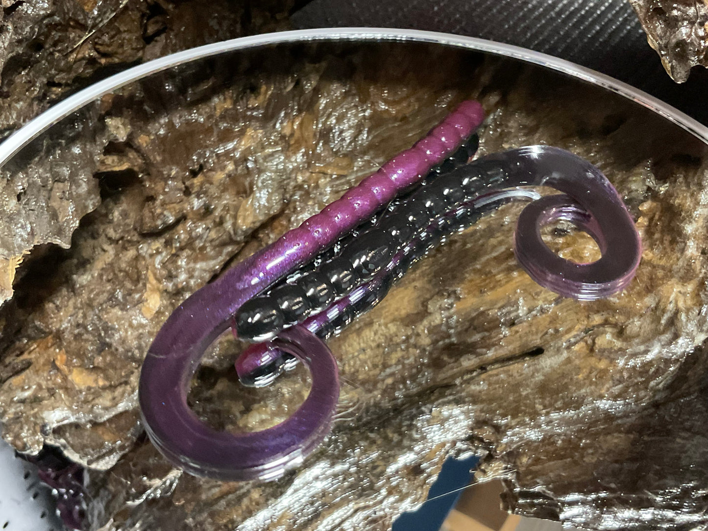 Tequila Sunrise Shad