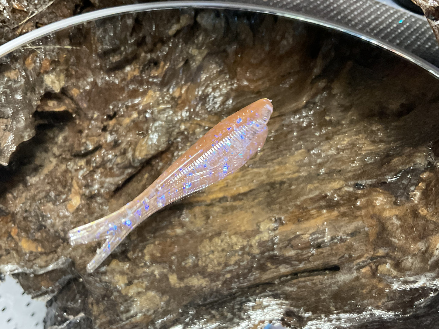 Electric Shad