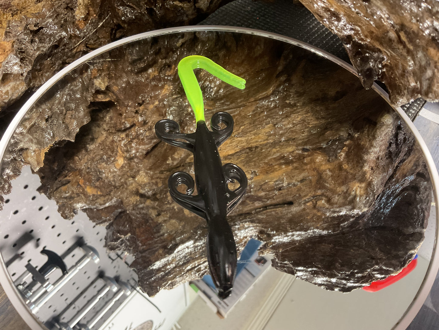 Black - Chartreuse Tail