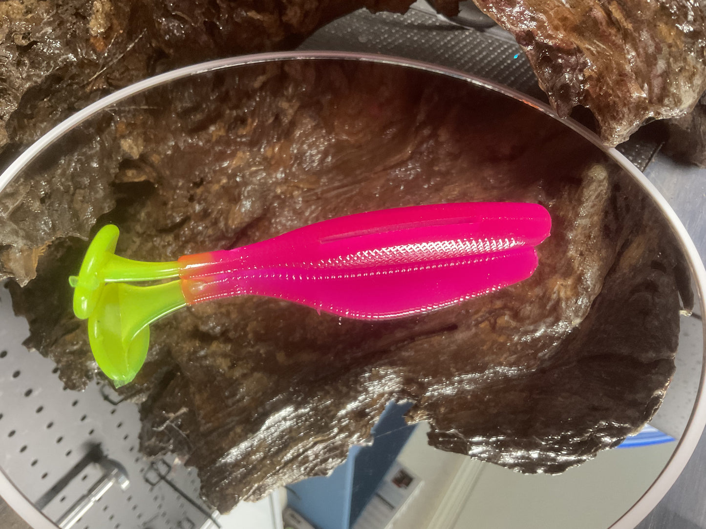 Hot Pink CT