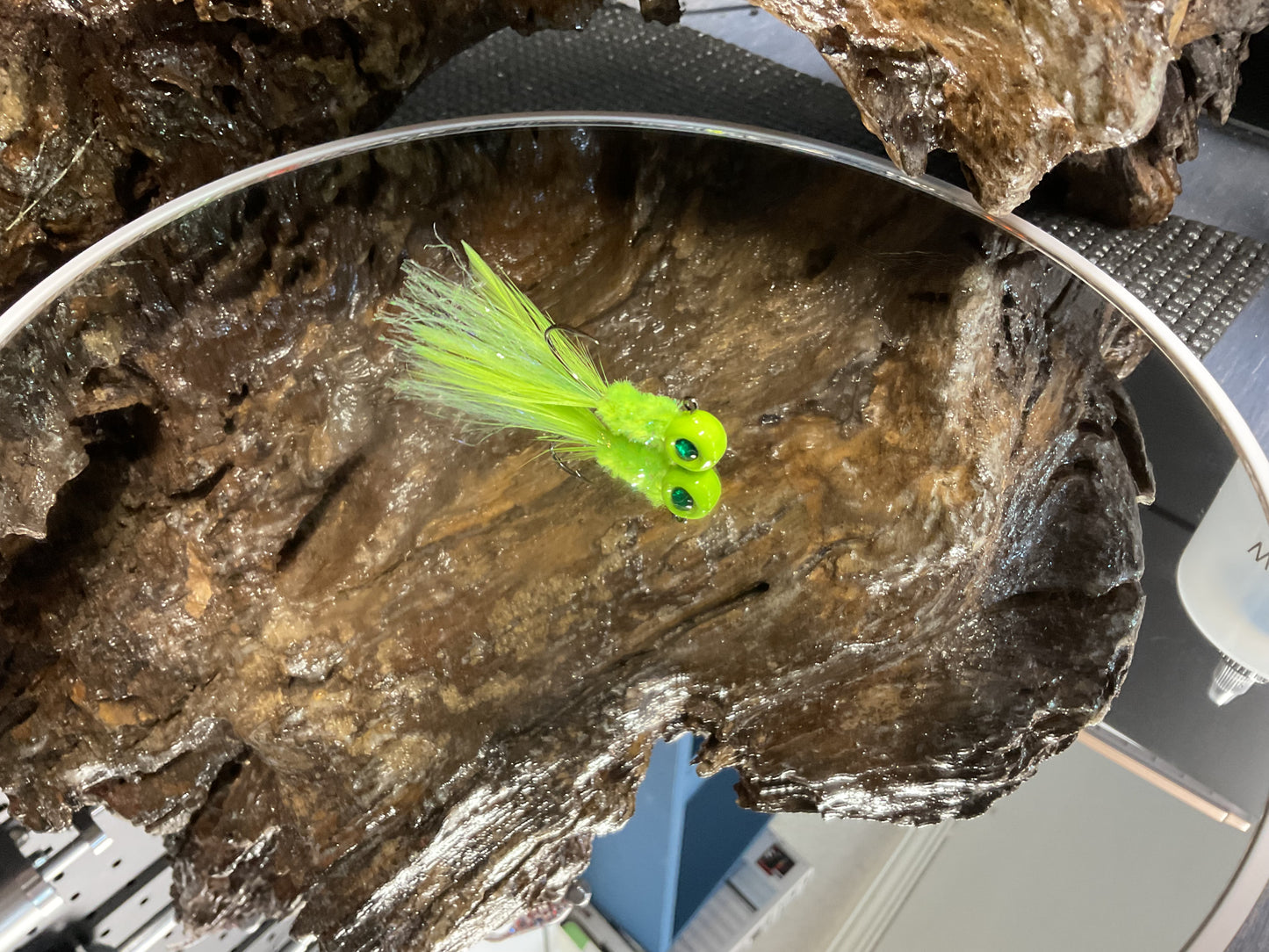 Fancy Radiation Minnow