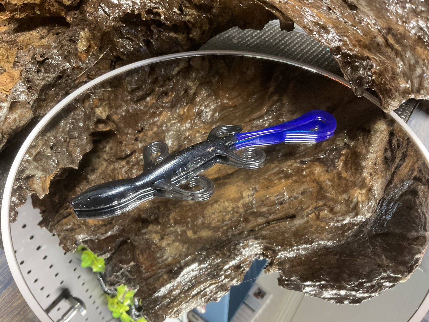 Black - Blue Tail