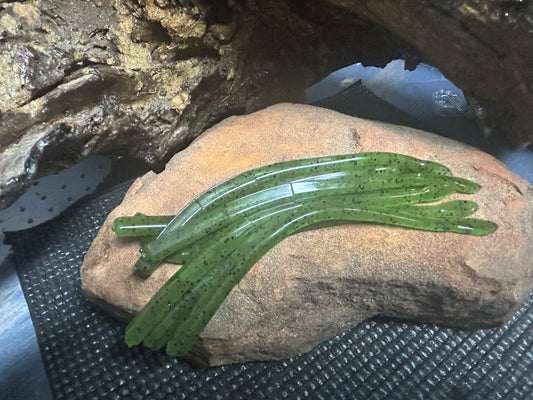 Green Pumpkin (qty 12)