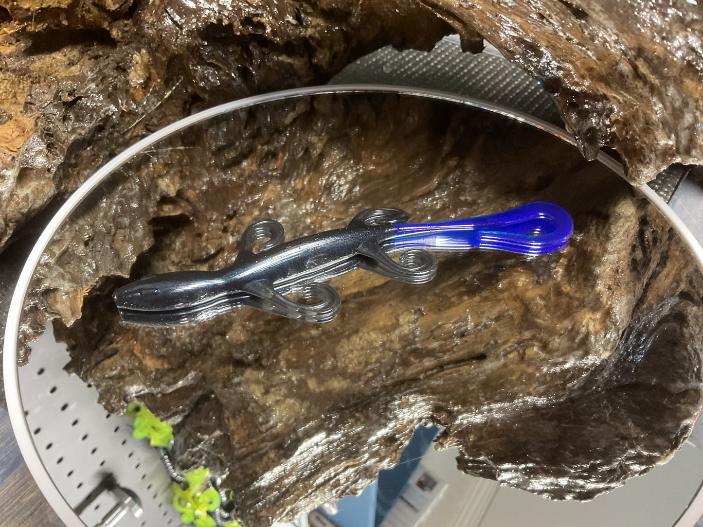 Black - Blue Tail