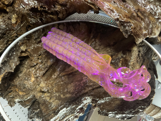 Violet Chameleon