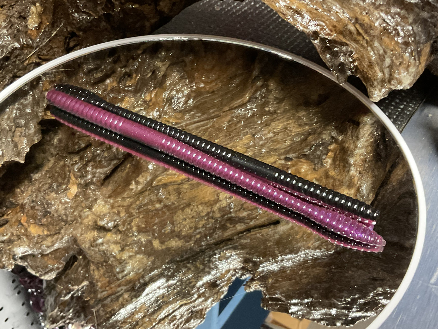 Tequila Sunrise Shad