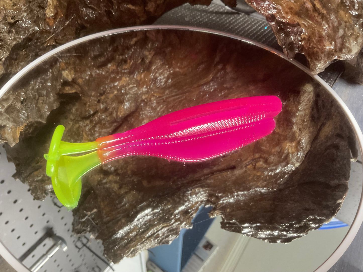 Hot Pink CT