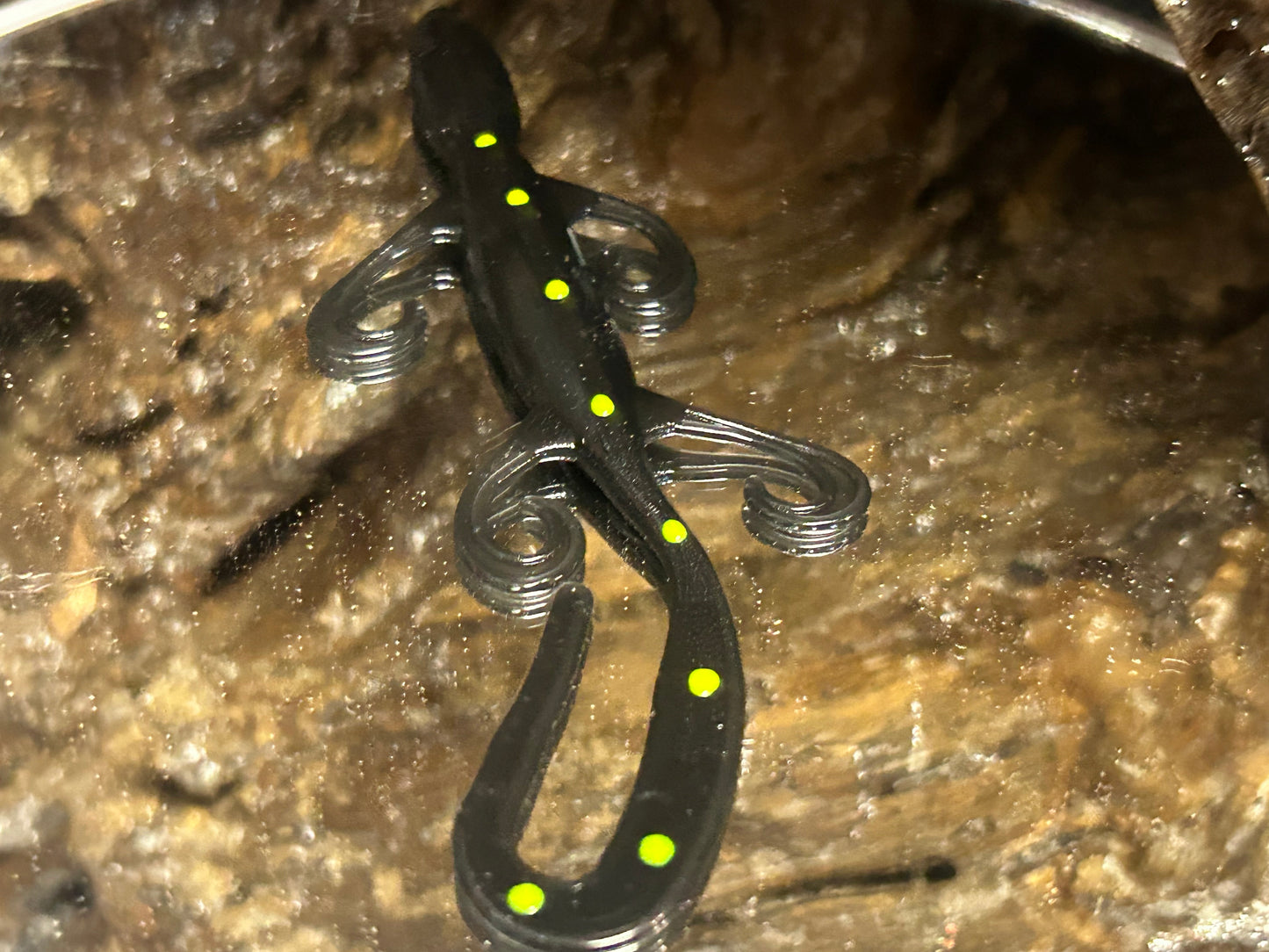 Black with chartreuse dots ￼