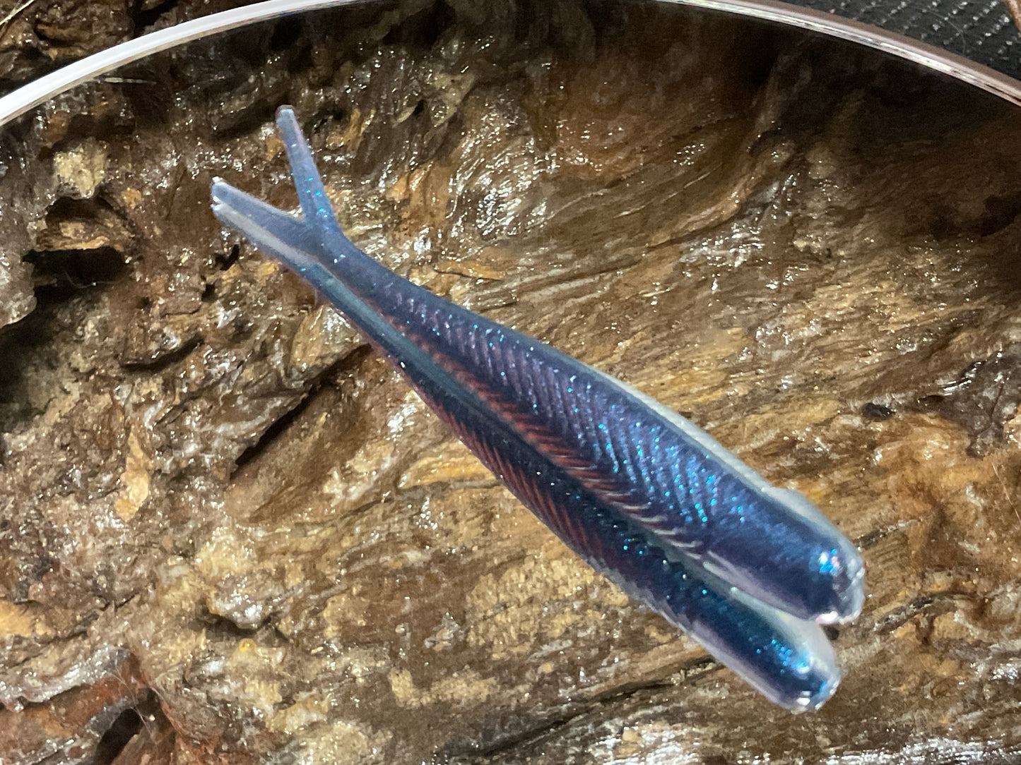 Blue Haze Shad