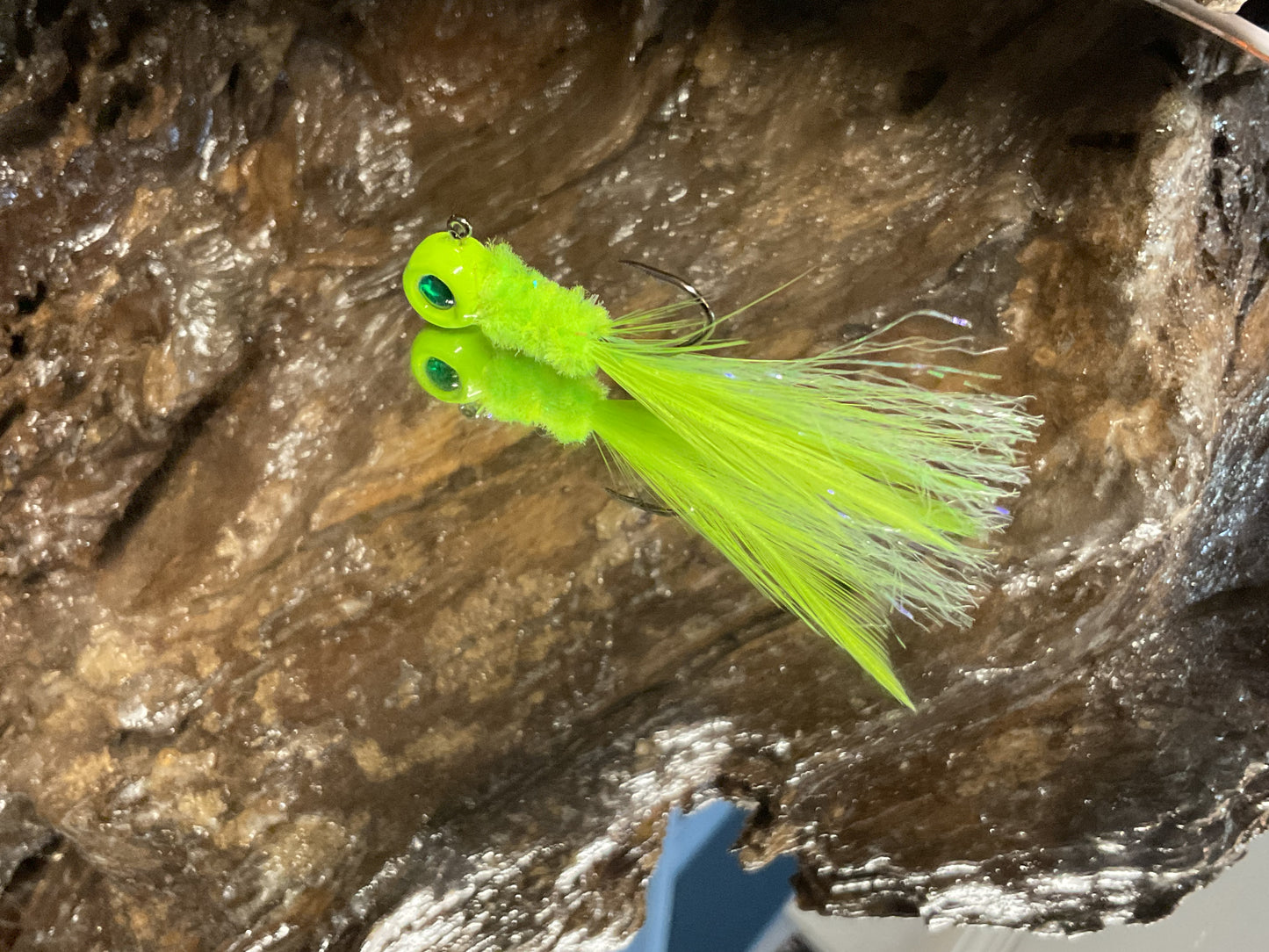 Fancy Radiation Minnow