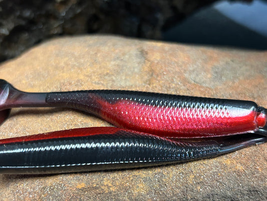 Red Shad