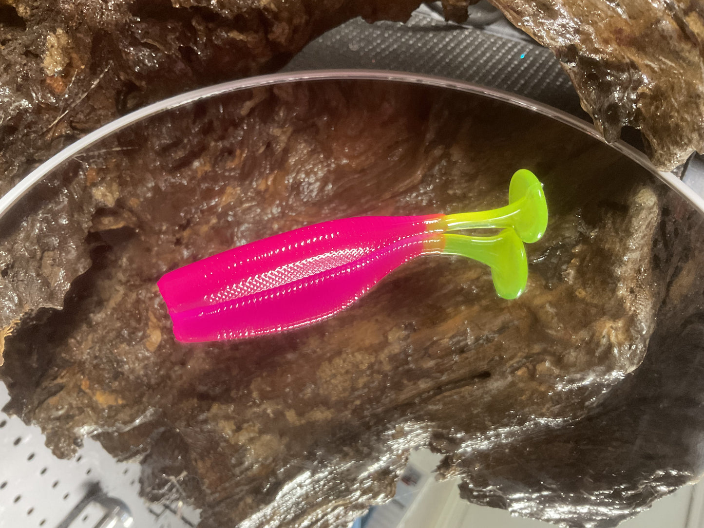 Hot Pink CT