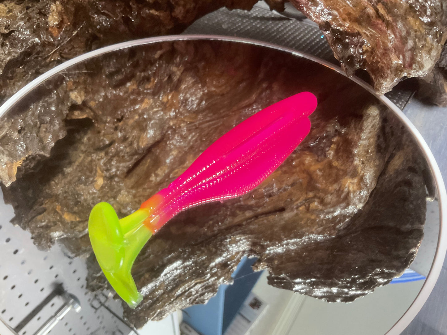 Hot Pink CT