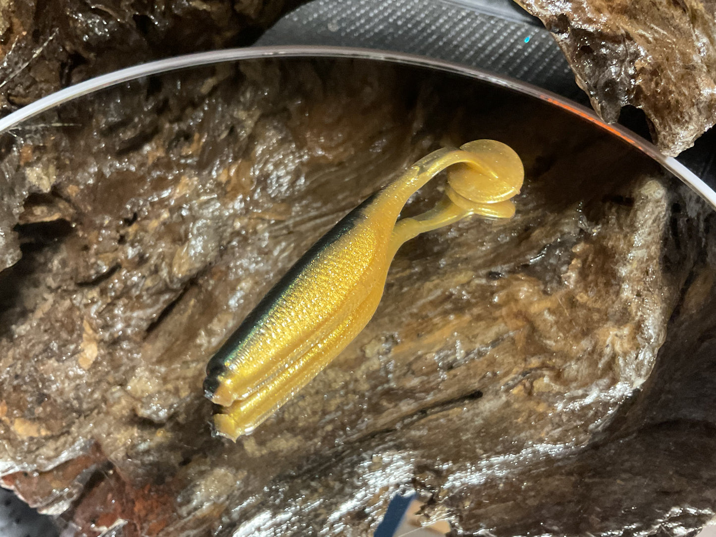 Emerald Gold Shad