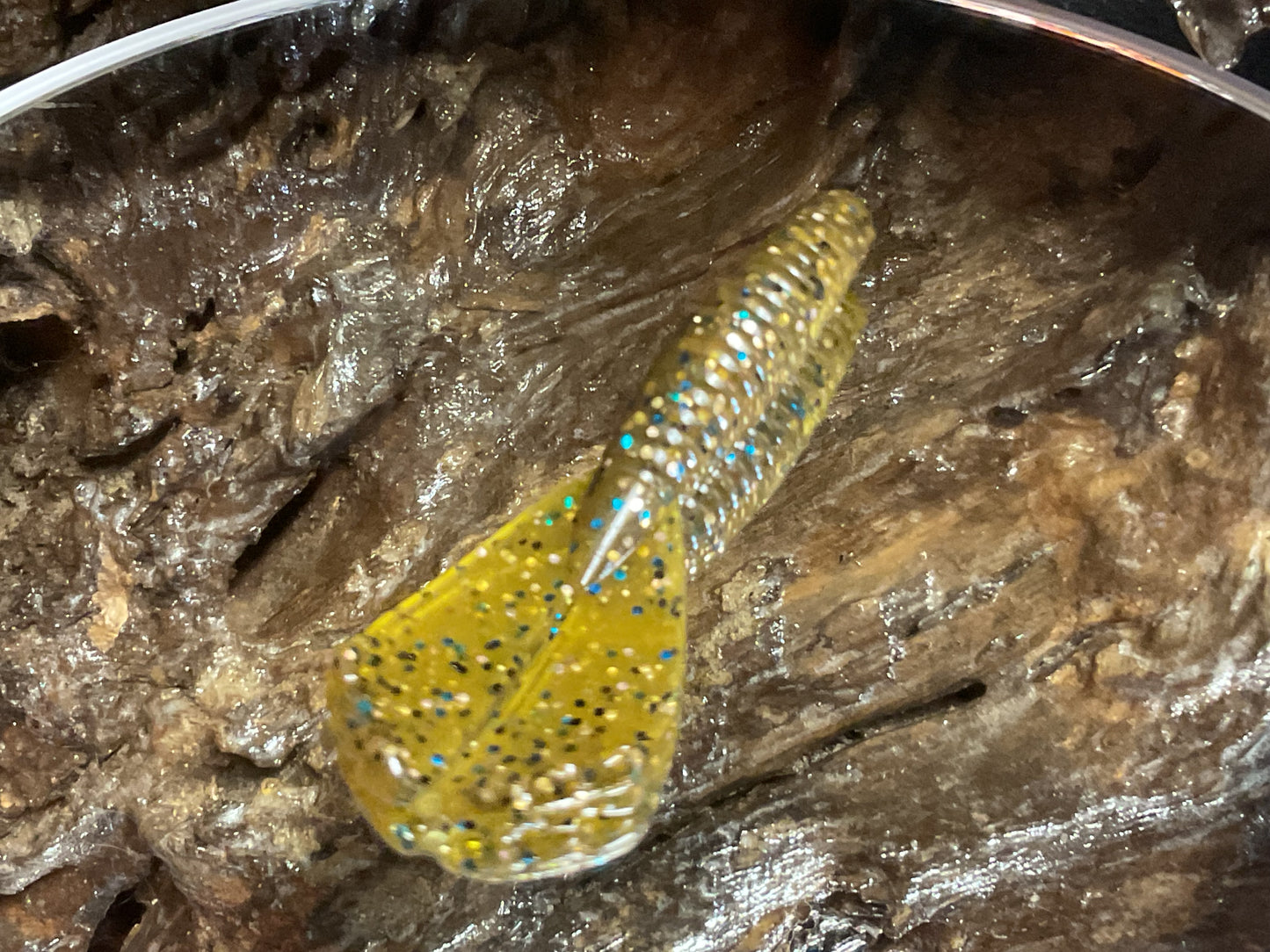 Tilapia ￼
