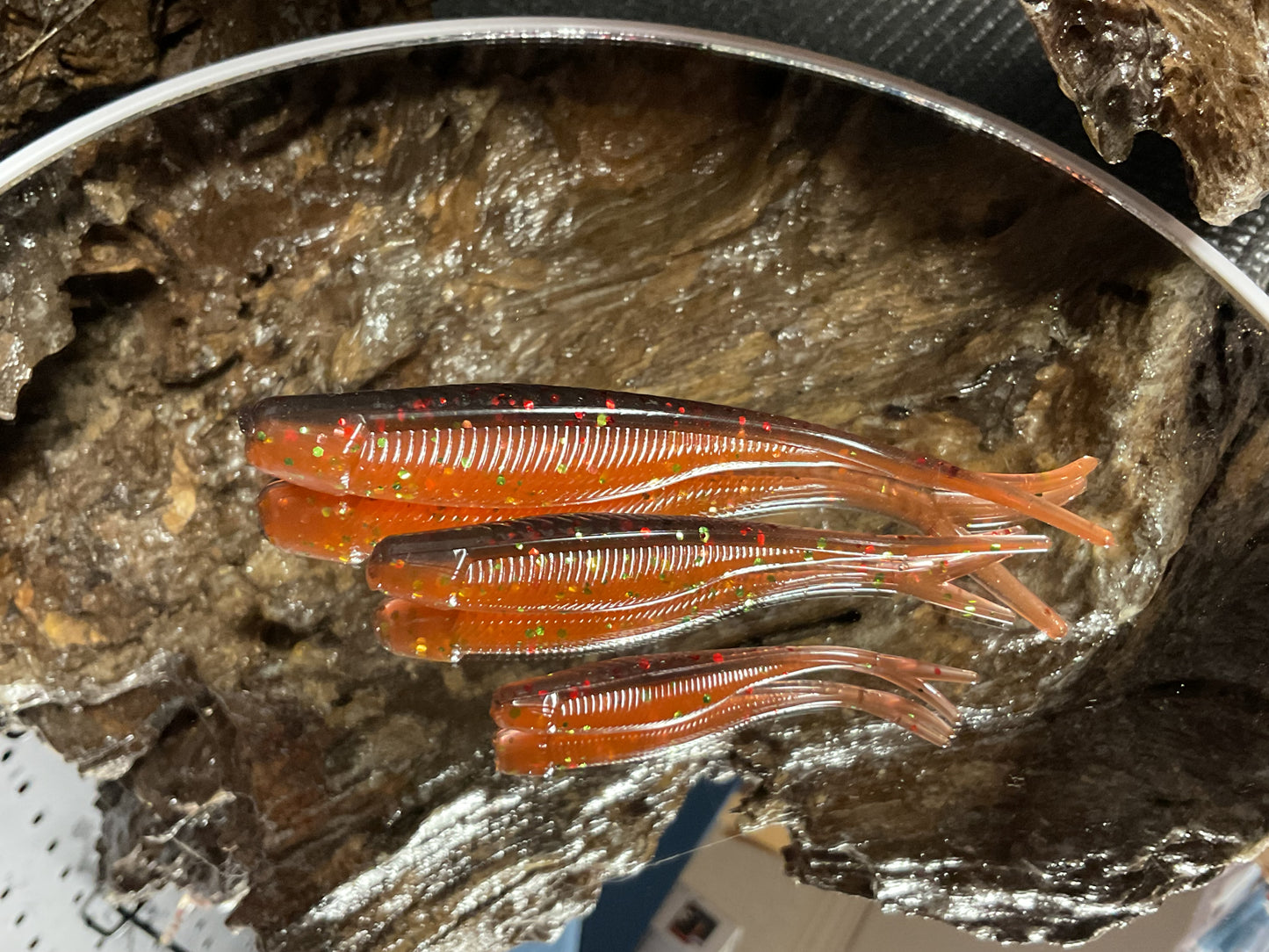 ScallyWag
