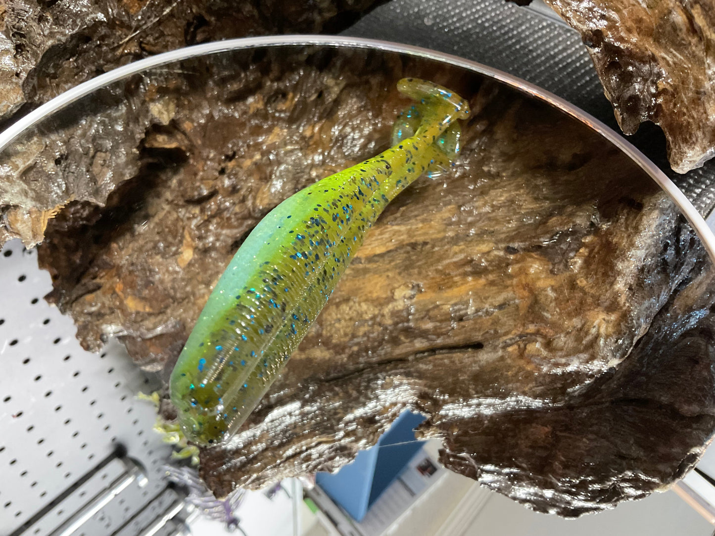 Green Pumpkin - Blue Shad