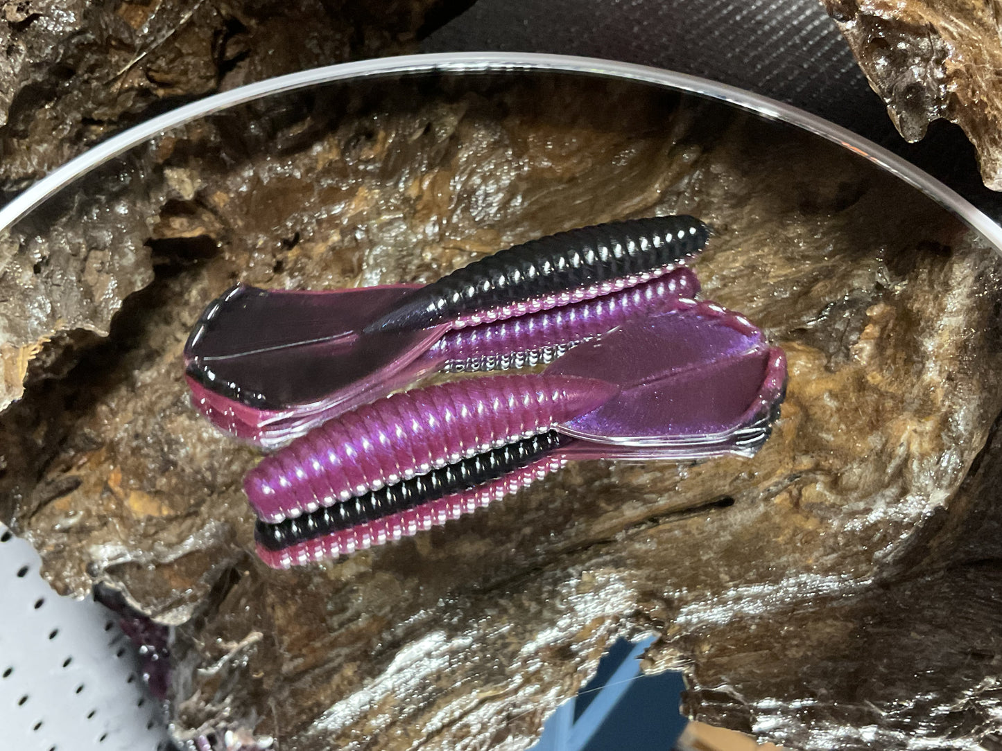 Tequila Sunrise Shad