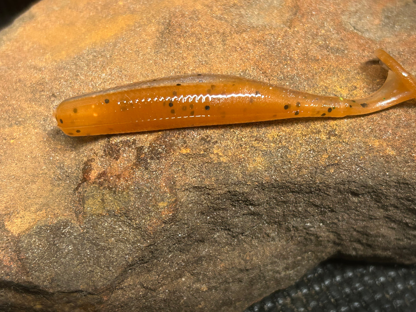P’cola Gold Fish