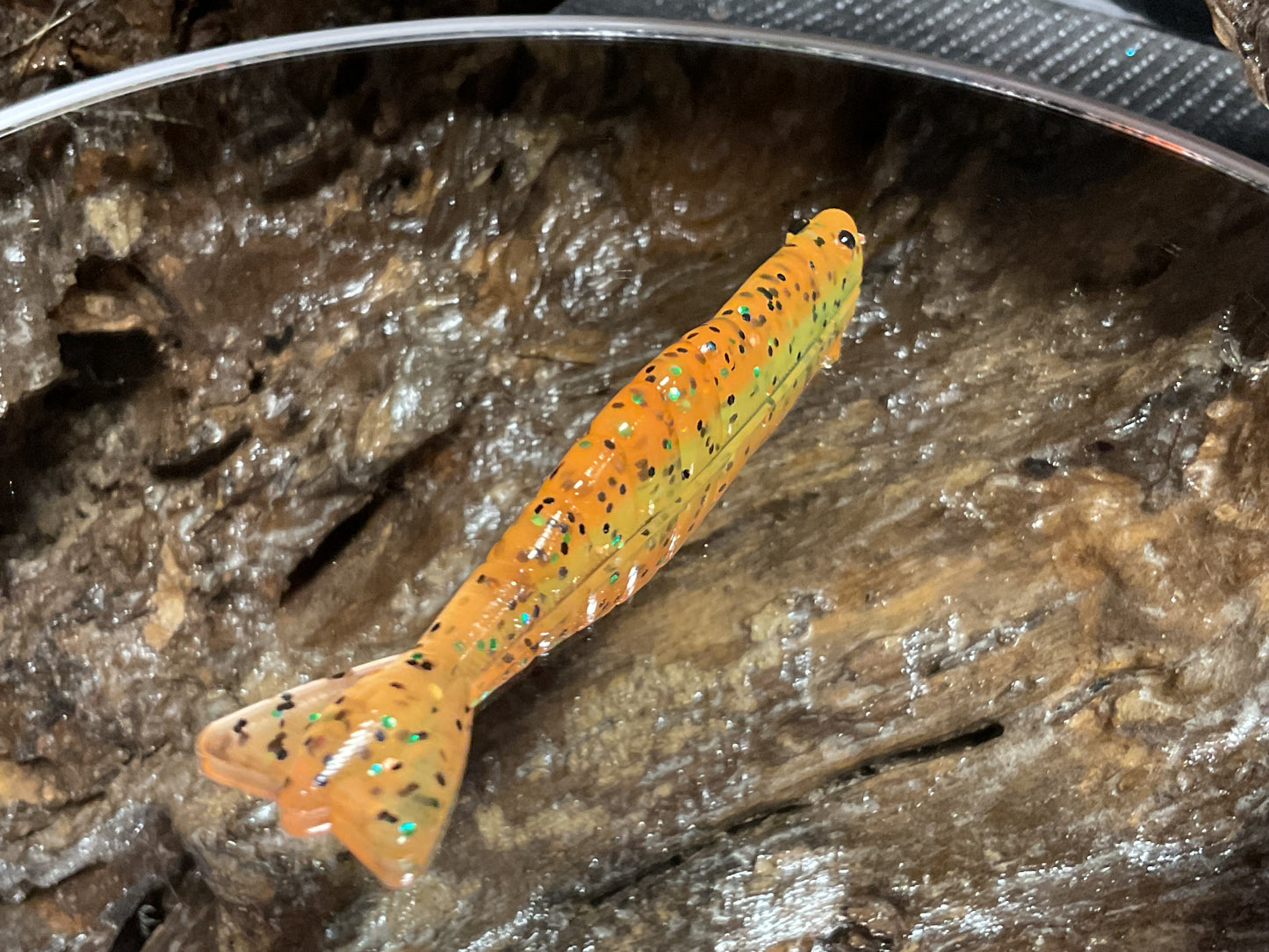 Grasshopper