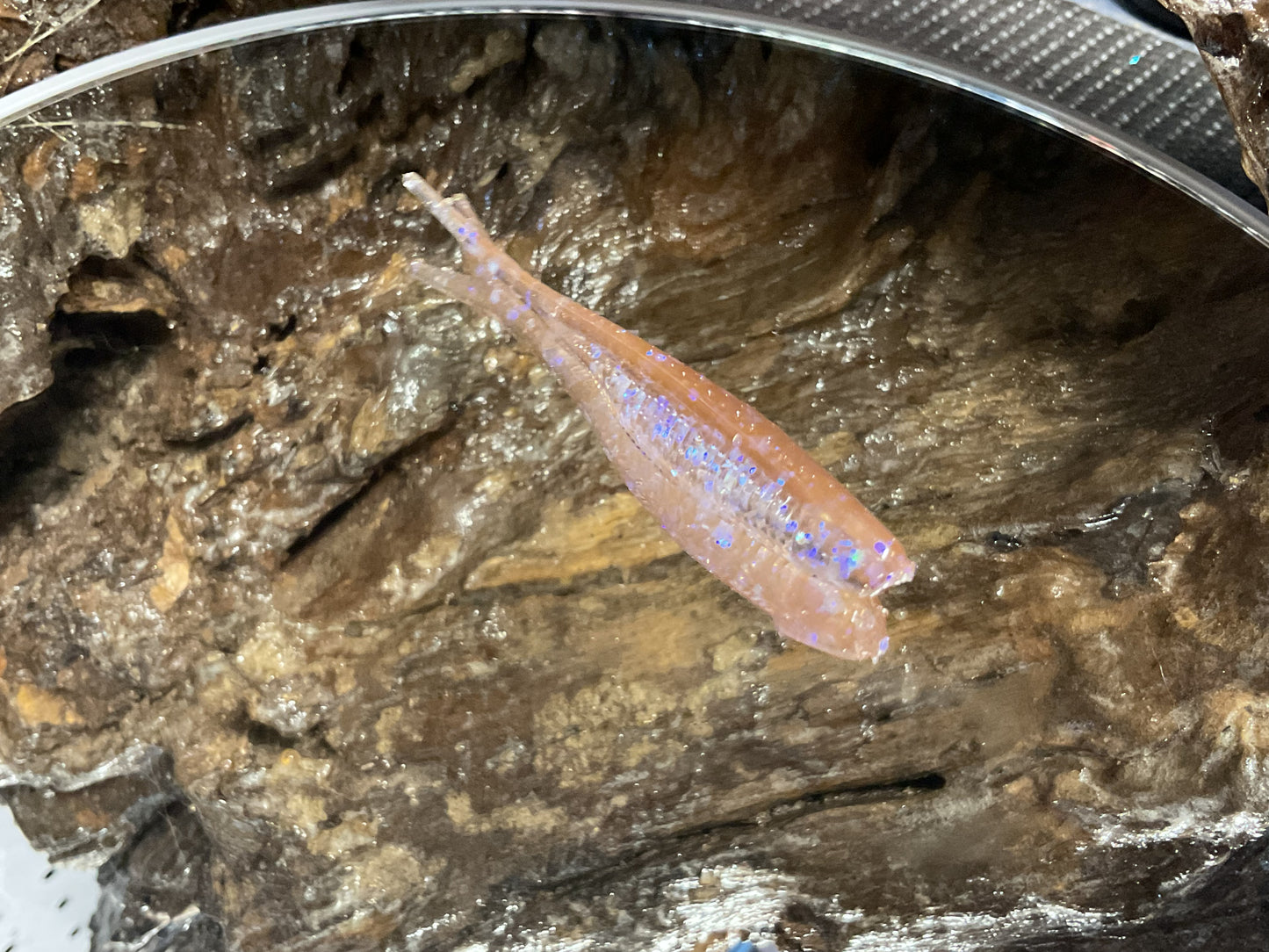 Electric Shad