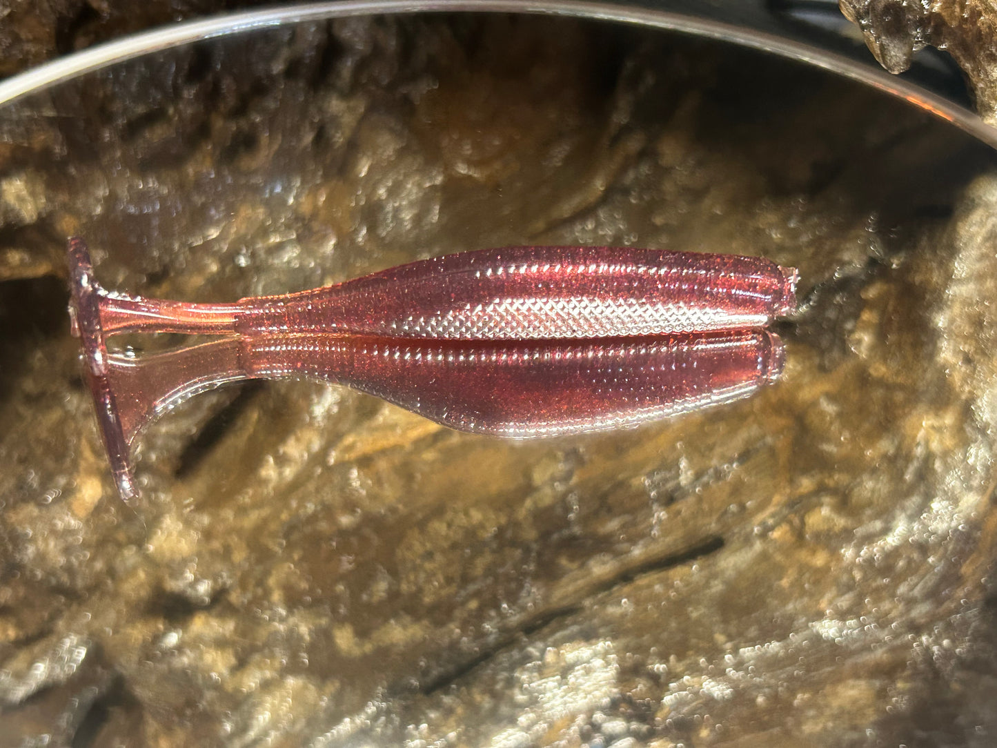 Chupucabra
