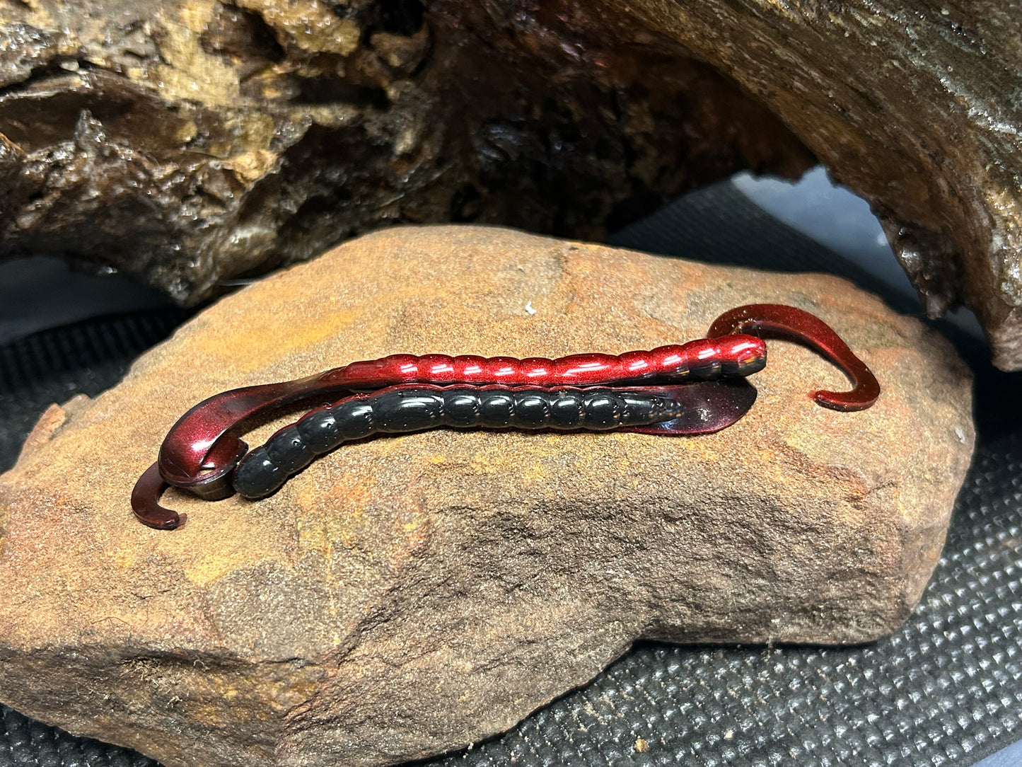 Red Shad (Qty 16)