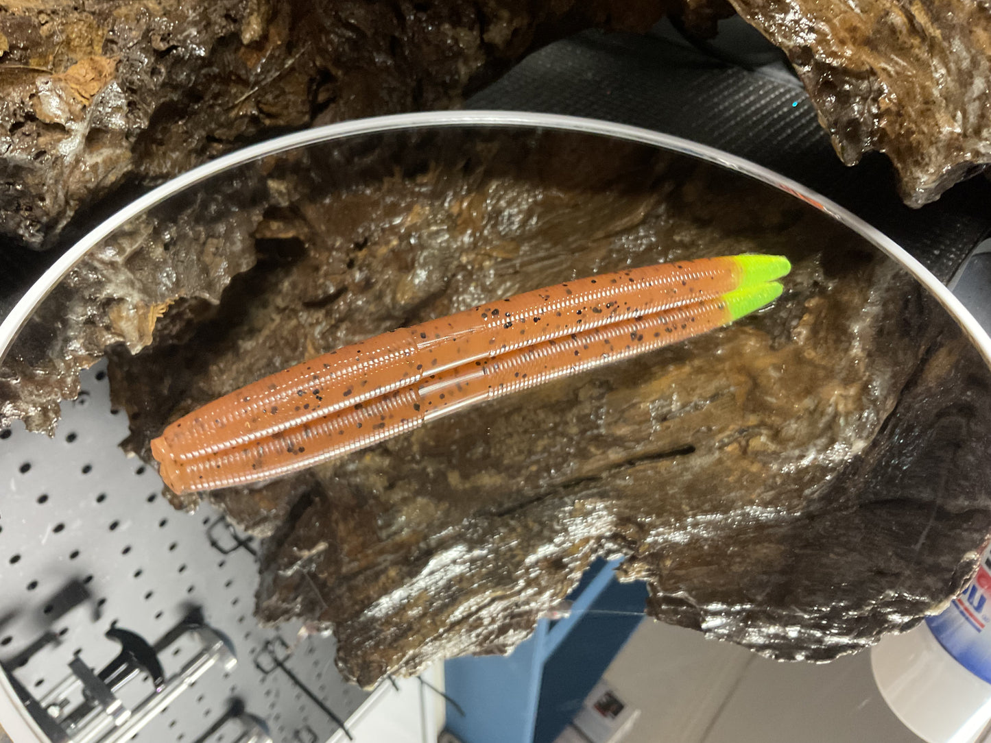 Pumpkin Seed / Chartreuse Tail