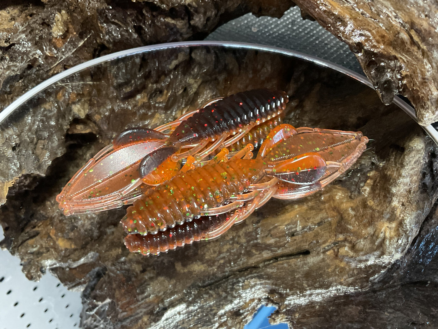 ScallyWag