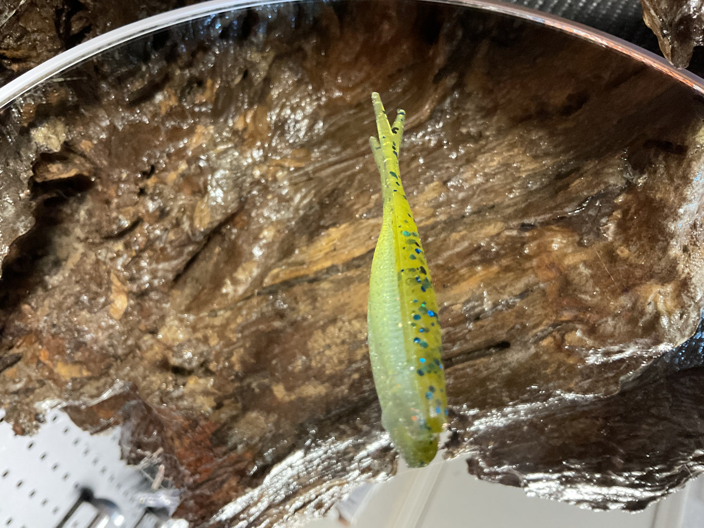Green Pumpkin - Blue Shad