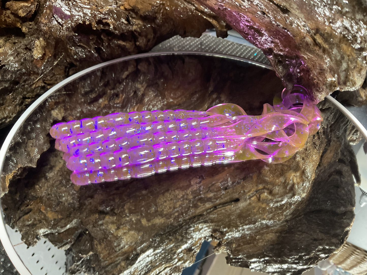 Violet Chameleon