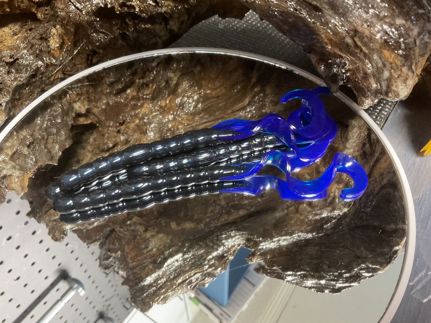 Black - Blue Tail