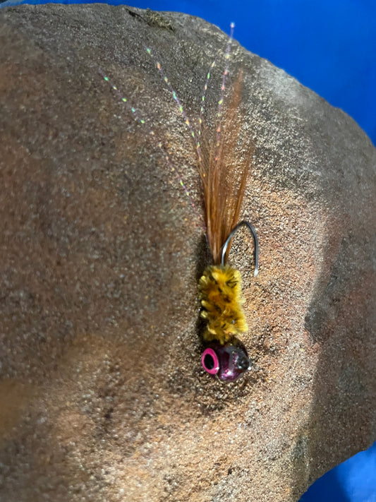 Brown Pumpkin Seed Minnow