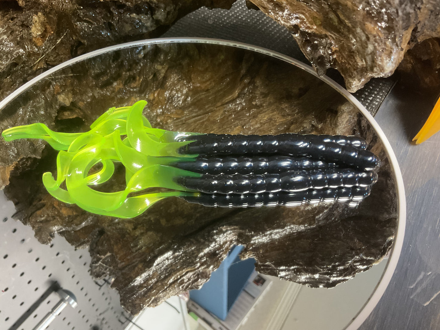 Black - Chartreuse Tail