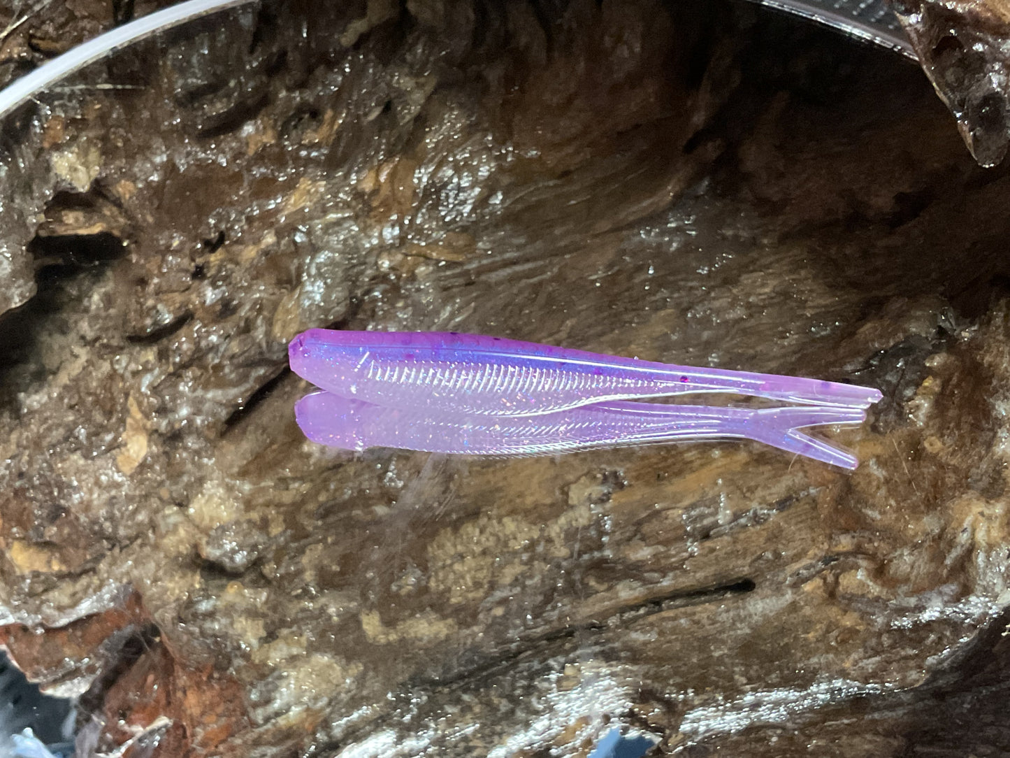 Aztec Shad