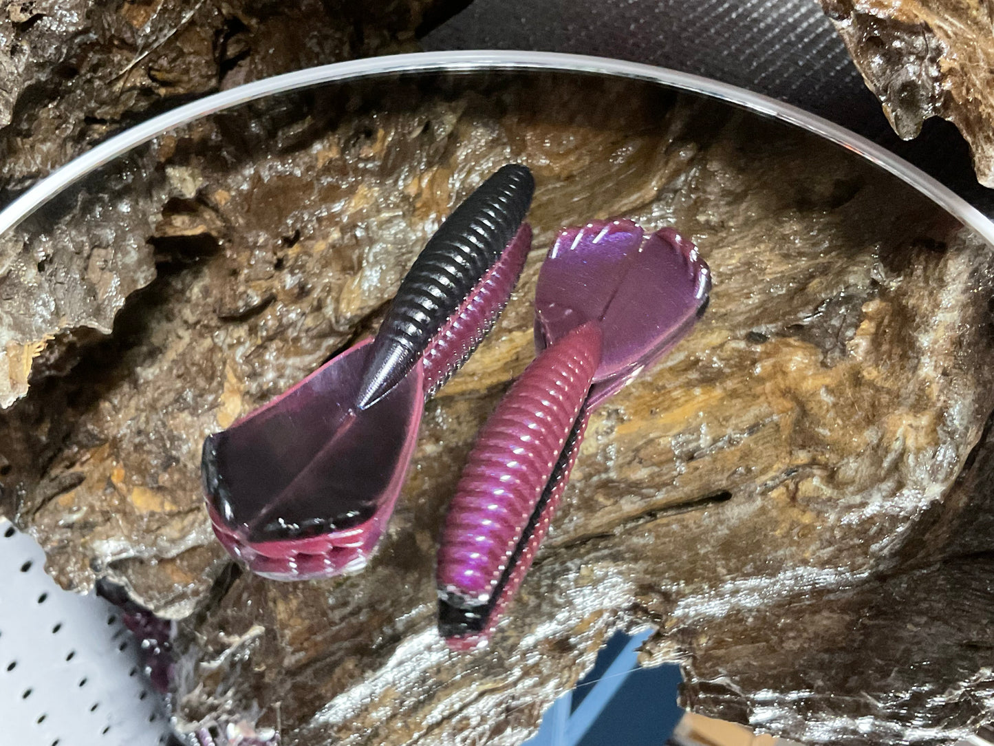 Tequila Sunrise Shad
