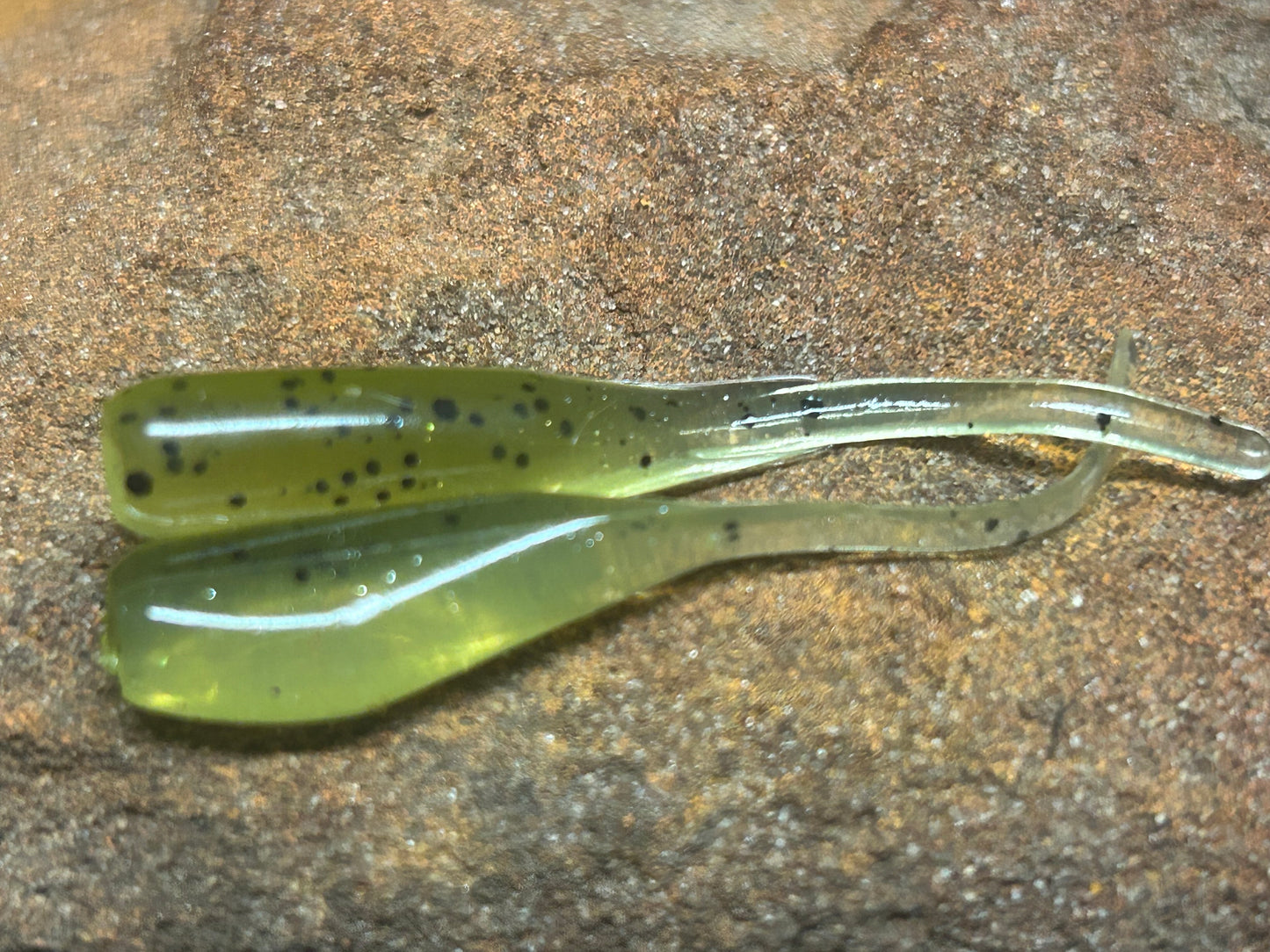 Baby Bass