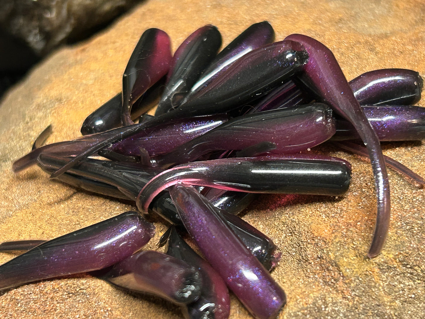 Tequila Sunrise Shad