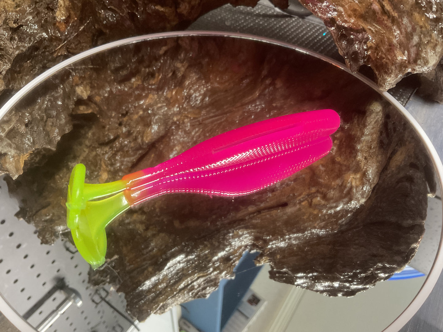 Hot Pink CT