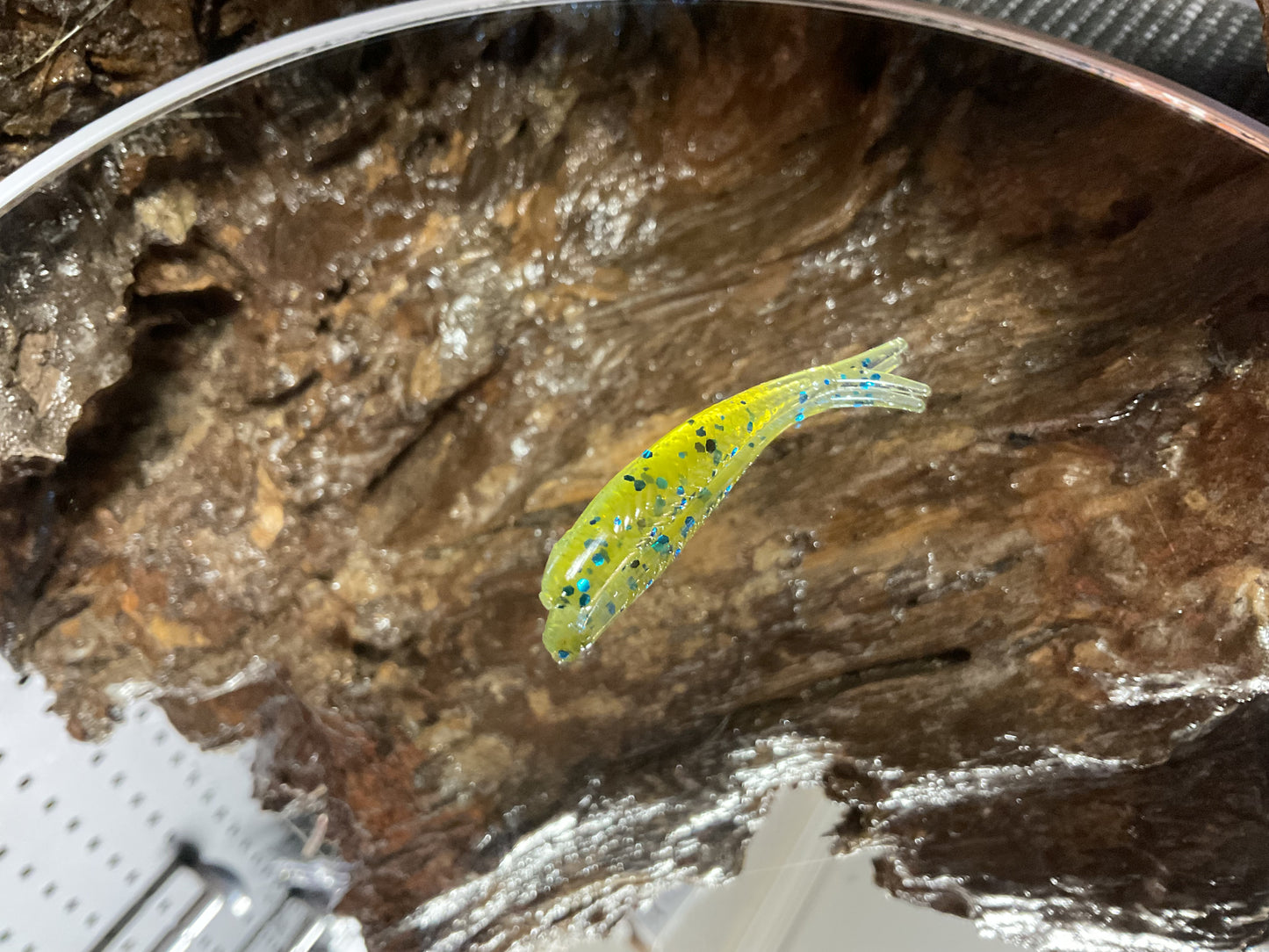 Green Pumpkin - Blue Shad