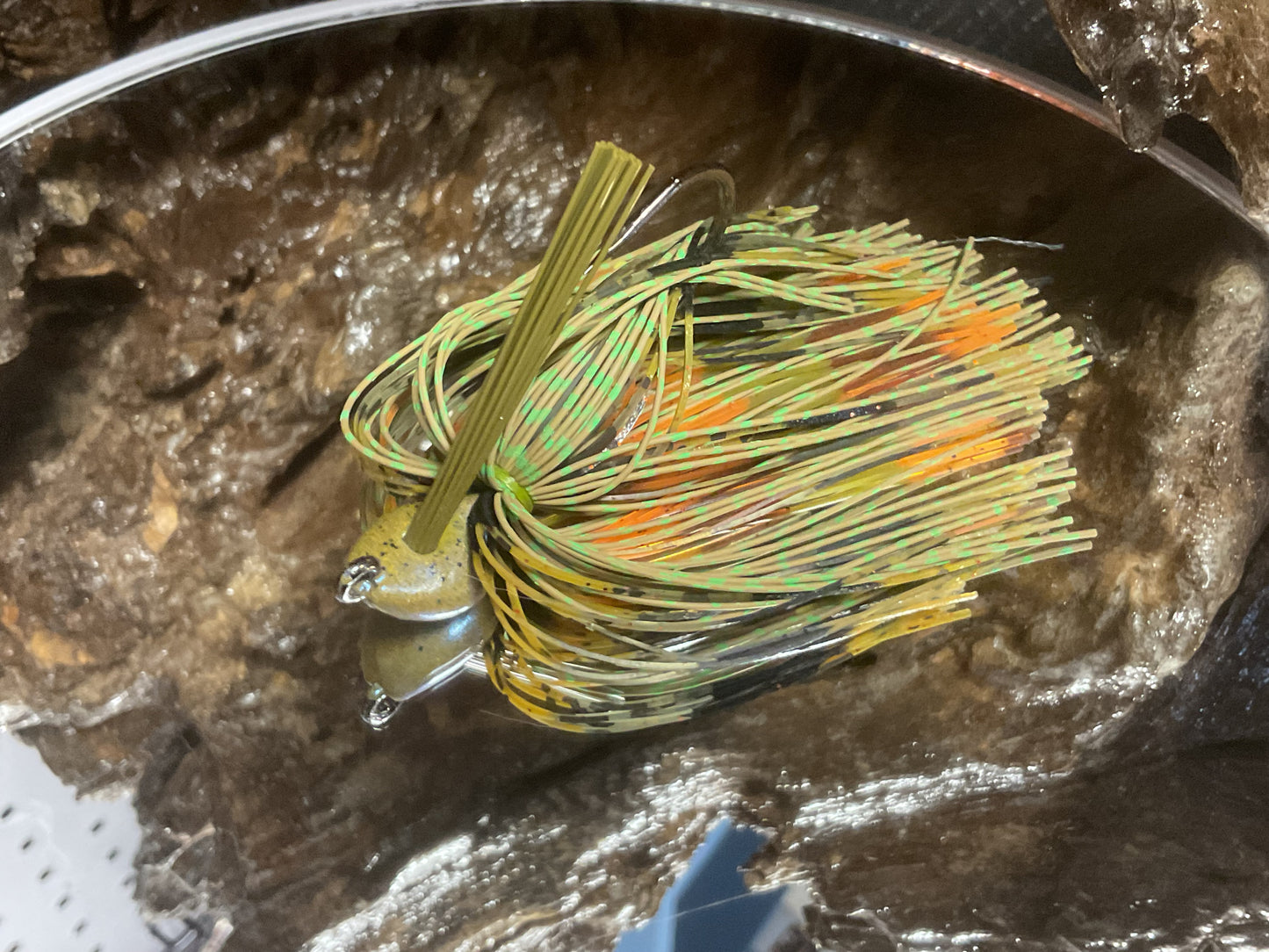 Squash Roadkill