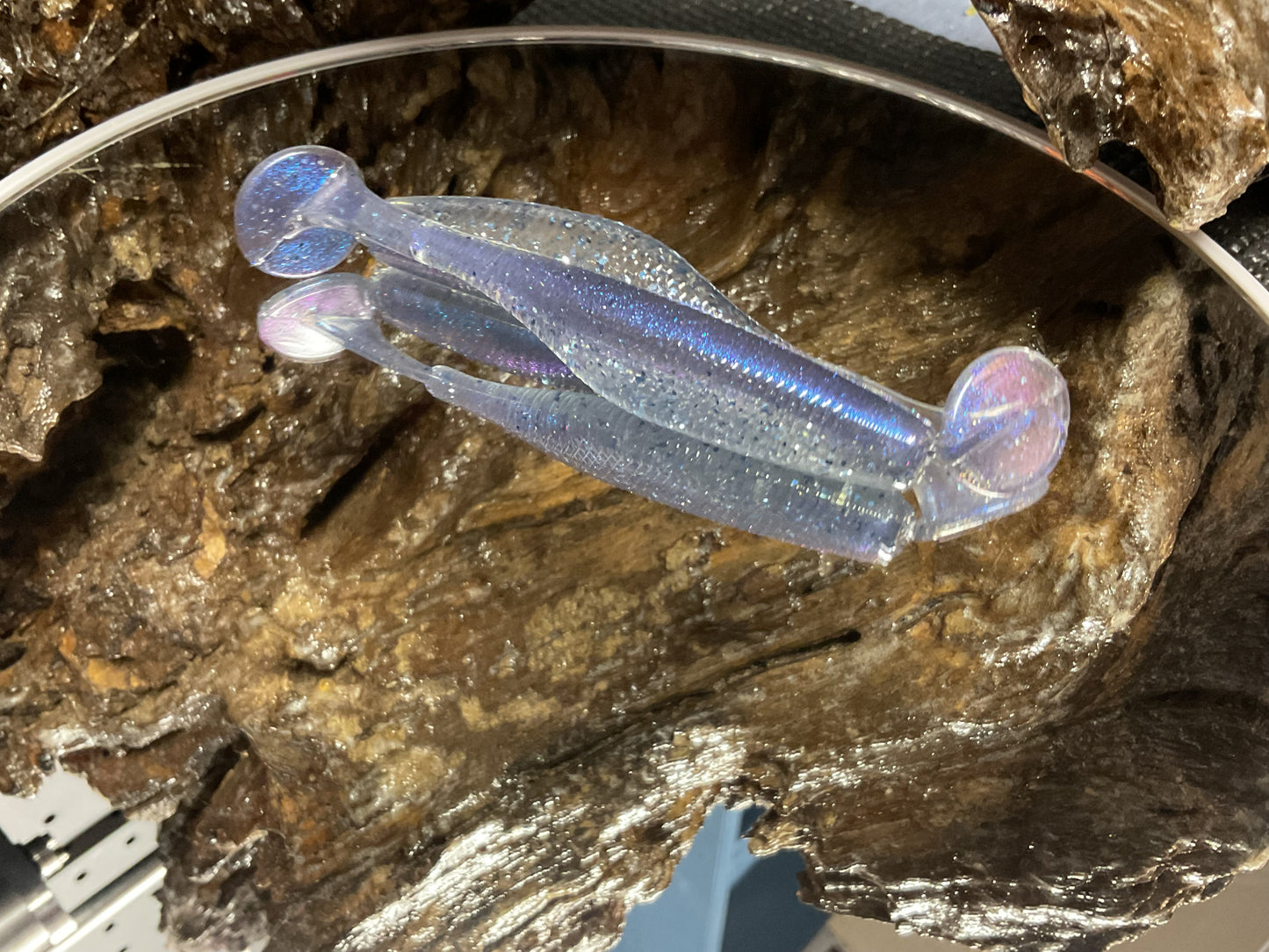 Ruri Shad