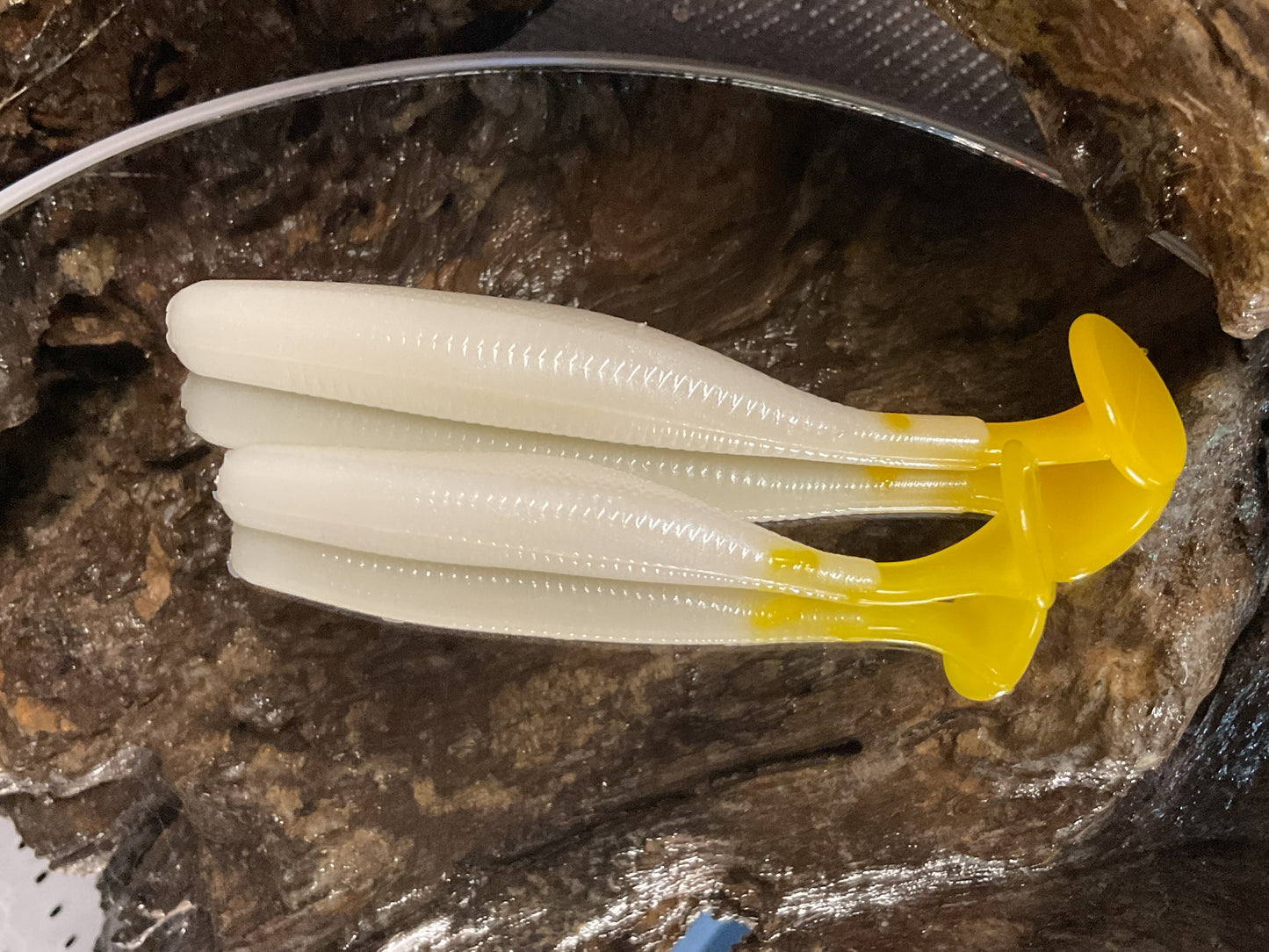 White / Yellow Tail
