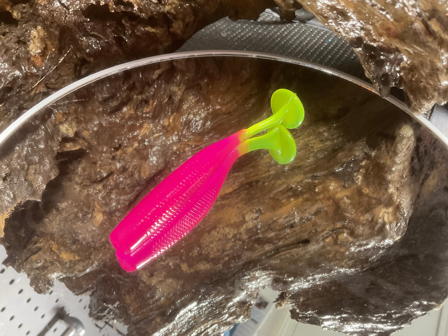Hot Pink CT
