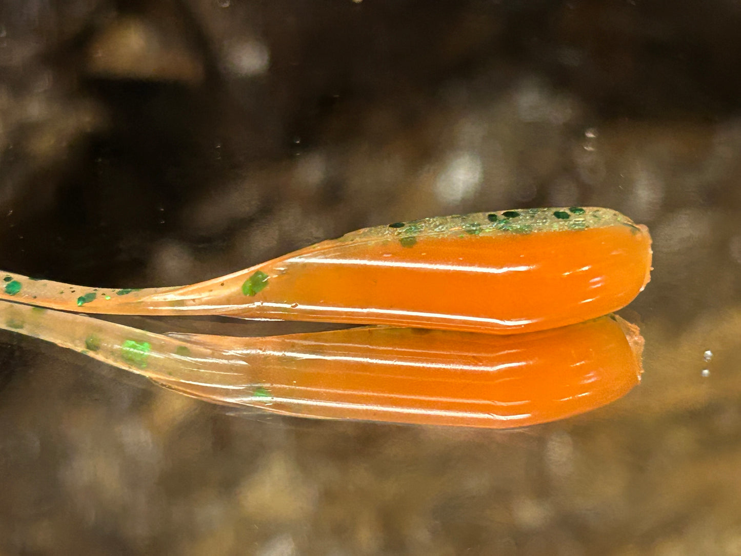 Perch