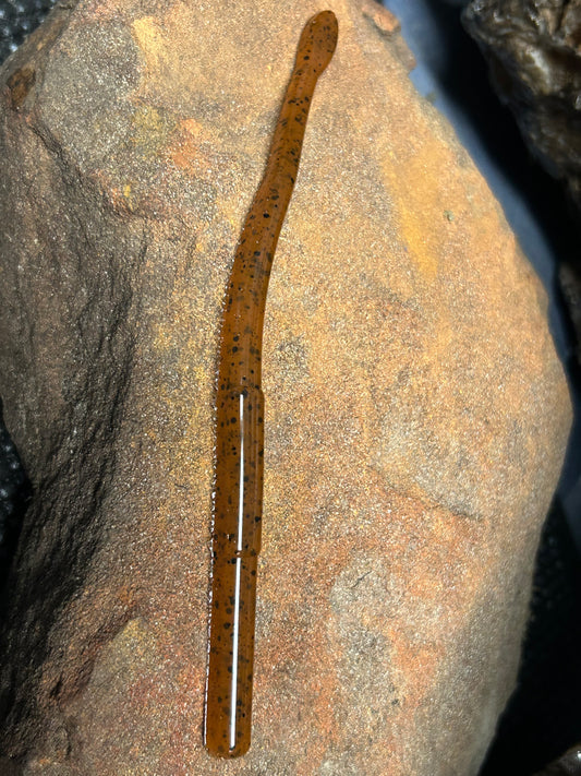 North Carolina Pumpkin Seed (qty12)