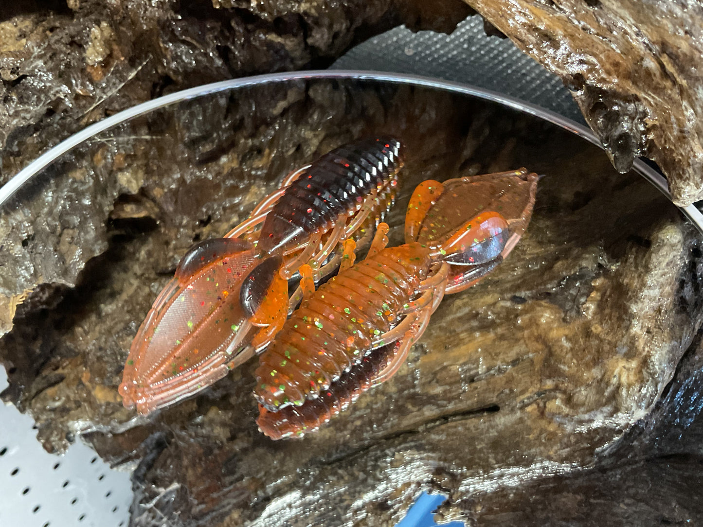 ScallyWag