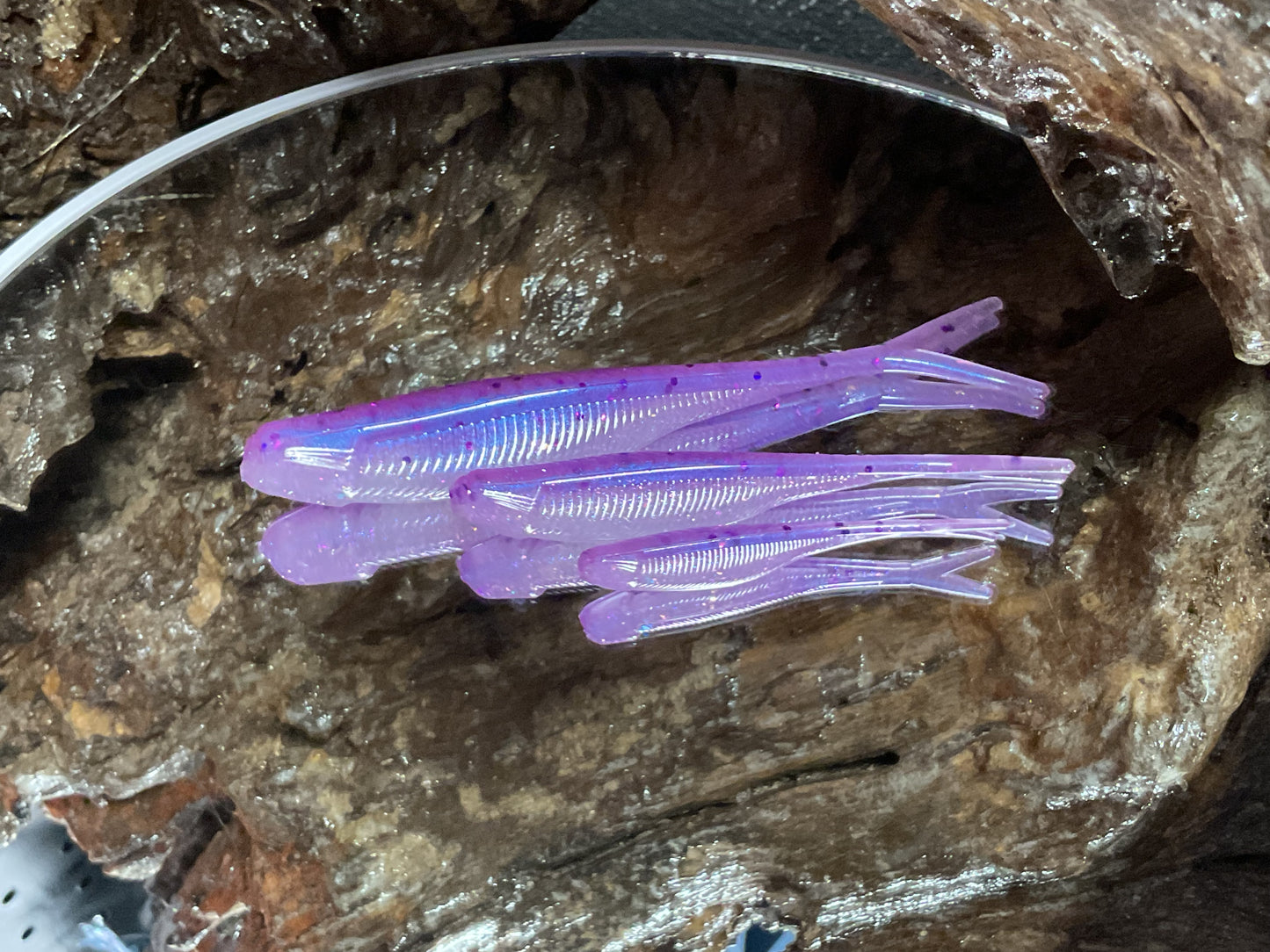 Aztec Shad