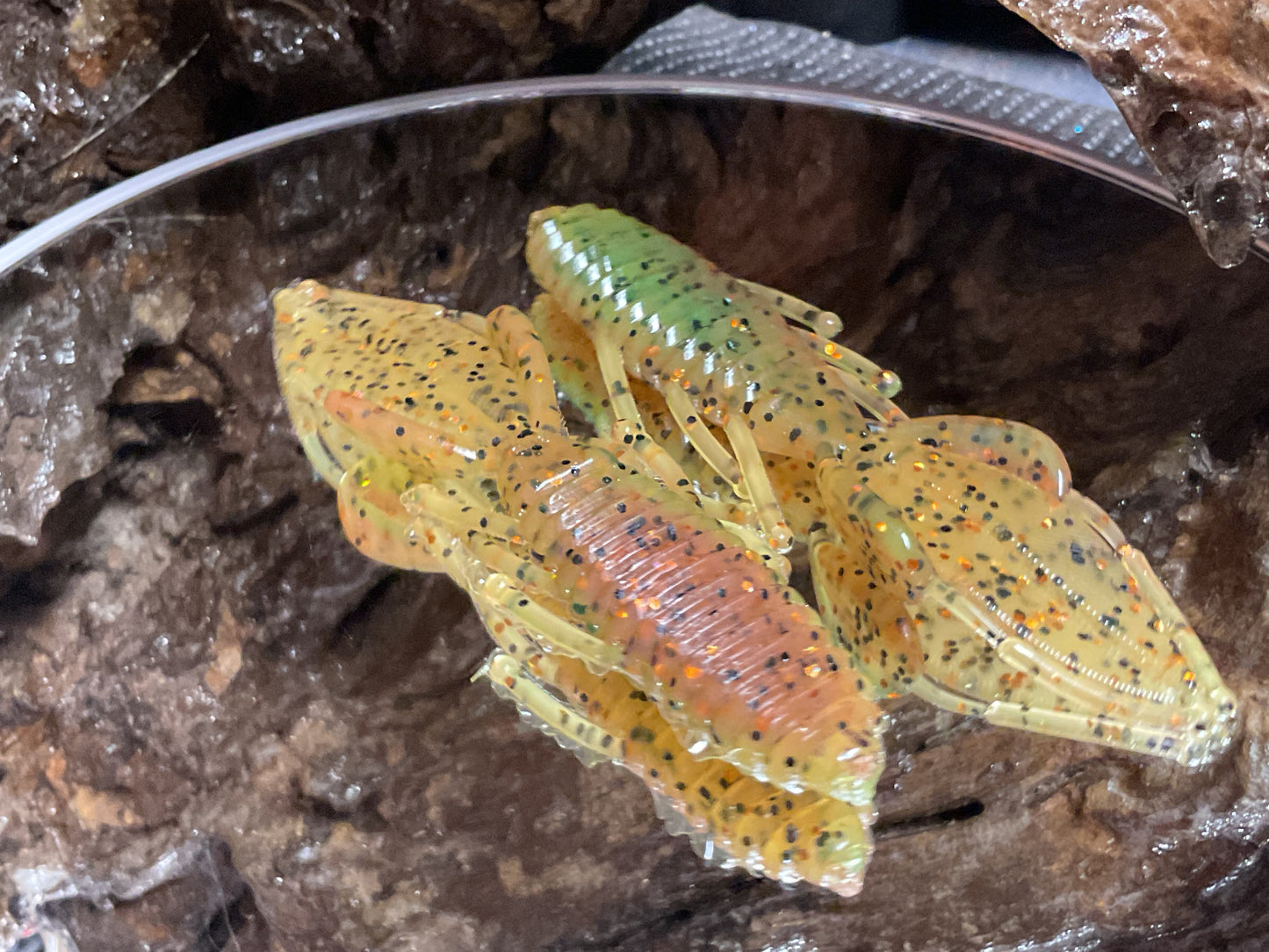 Car & Char Fire Swirl